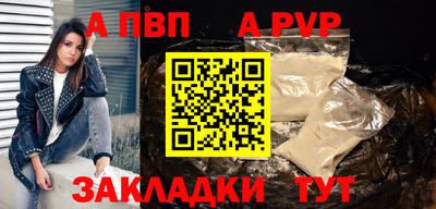 индика Гусев