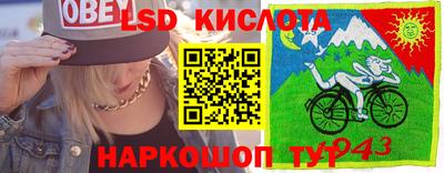 индика Донецк