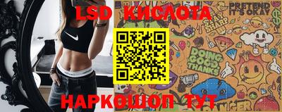 ECSTASY Донской