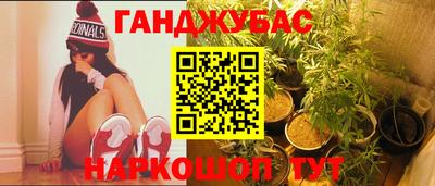индика Гусев