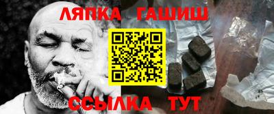 индика Гусев