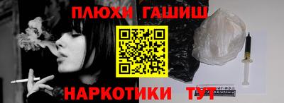 индика Гусев